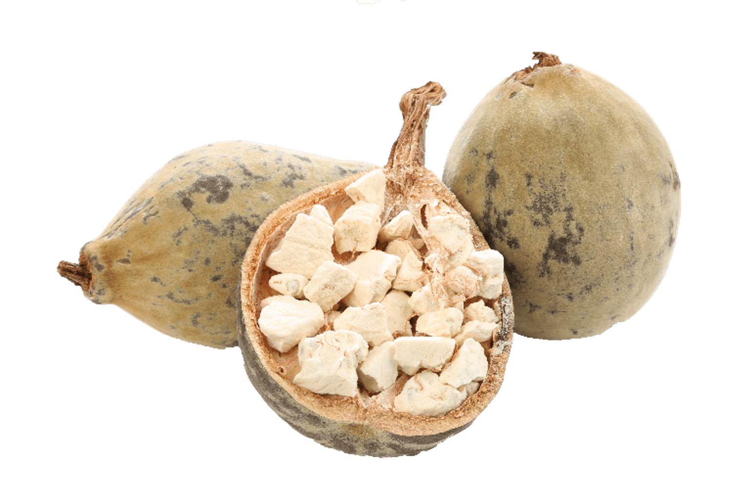 Baobab Fruit Powder | Baobab Fruit Powder