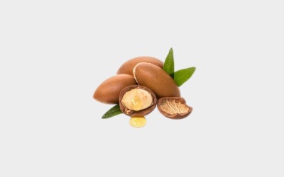 Home | Bulk Body Care Samples